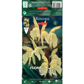 Мисцеланеус - Roscoea beesiana - 1бр
