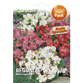 Семена Бегония`SG - Begonia`SG