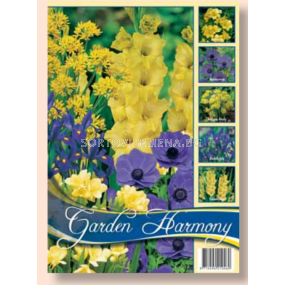 Лятна колекция от луковици микс за градина в синьо и жълто / Collection Flowerbulbs for Summergarden in blue and yellow / 1 оп (75 бр)