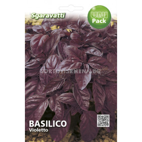 Семена босилек Виолетов`SG