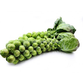 Семена Брюкселско зеле - 2 гр - sortovisemena.bg Семена Брюкселско зеле - 2 гр