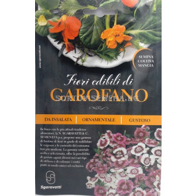 Ядливи карамфилчета - Dianthus