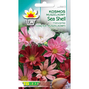 Космос Sea Shell - Cosmos Sea Shell 