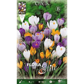 Минзухари (Crocus) Big Flowering Mix 