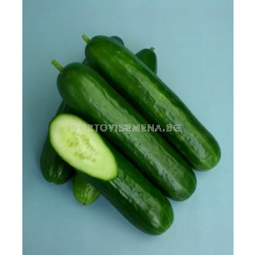 Семена краставици 5182 - cucumber 5182 - 100 сем