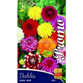 Далия (Dahlia) Border Mix - ниски