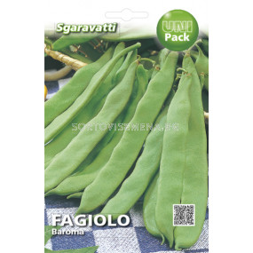 Фасул  (Beans) Baroma SG (тип Лоди)