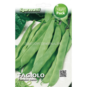 Семена Фасул (Beans) Corallo Nano SG