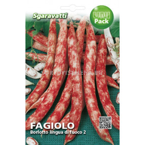 Семена Фасул Borlotto Lingua di Fuoco 2  SG - висок