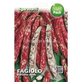 Семена фасул Borlotto Lingua di Fuoco Nano SG 