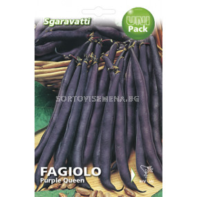 Семена Фасул Purple Queen SG