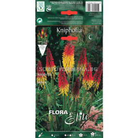 Факелна лилия - Kniphofia uvaria (1 оп. - 3 бр.)