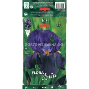 Ирис син / Iris germanica blue / 1 оп ( 1 бр )