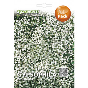 Семена Гипсофила Елеганс (бяла)`SG - Gypsophila Elegance (white)`SG