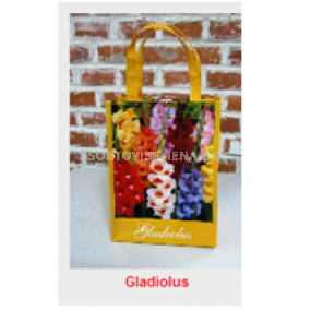 Гладиоли микс 14+ 