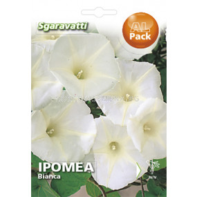 Семена Ипомея Бяла`SG - Ipomoea White `SG