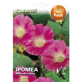 Семена Ипомея Червена`SG - Ipomoea red `SG