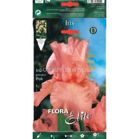 Ирис розов / Iris germanica pink / 1 оп ( 1 бр )