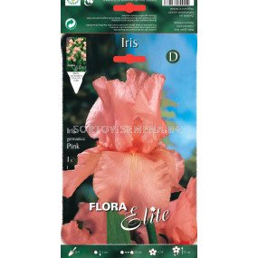 Ирис розов / Iris germanica pink / 1 оп ( 1 бр )