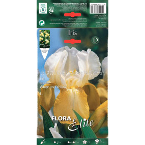 Ирис жълто-бял / Iris germanica white/yellow / 1 бр