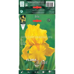 Ирис жълт / Iris germanica yellow / 1 оп ( 1 бр ) 