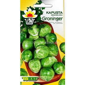 Семена Брюкселско зеле Groninger - Brussels sprouts Groninger 