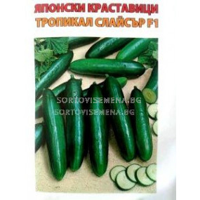 Семена краставици Тропикал Слайсър - cucumber Tropical slicer F1