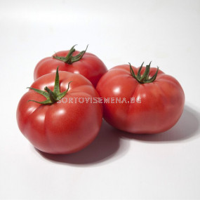 Семена домати KS 1157 F1 - 100 семена