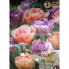 Лалета (Tulips) Sparkling Mix Charming Beauty & Shirley 