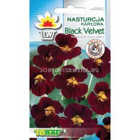 Латинка Black velvet – 5 г