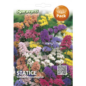 Семена Лимониум микс`SG - Limonium mix`SG 