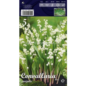 Момина сълза (Convallaria majalis) Бяла