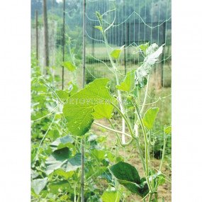 Мрежа за краставици' PL - sortovisemena.bg Мрежа за краставици' PL