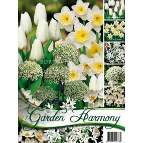 Колекция есенни луковици "White Garden" 50 бр