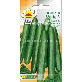 Краставици (за оранжерия) Marta F1 