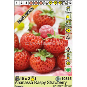 Ягоди / Fragaria Ananassa Raspy Strawberry / 1 оп- 2 корена