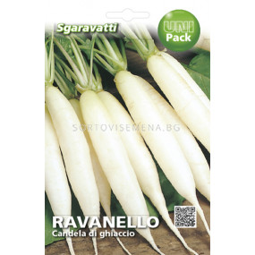 Семена репички Бели дълги`SG - radish white long`SG