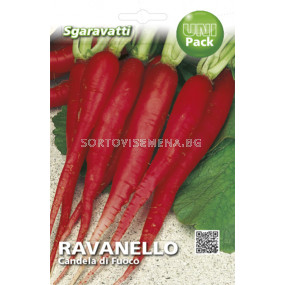 Семена репички Червени дълги`SG