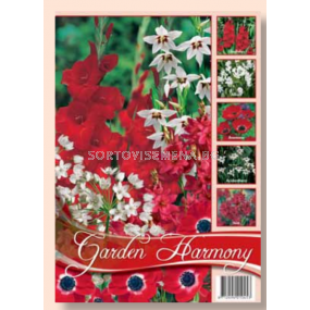 Лятна колекция от луковици микс за градина в червено и бяло / Collection Flowerbulbs for Summergarden in red and white / 1 оп (75 бр )  	