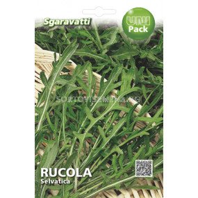 Семена Рукола - дива`SG