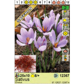 Шафран (Crocus sativus) 1 оп (10 бр)