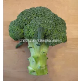 Семена броколи Зен F1 - broccoli Zen F1