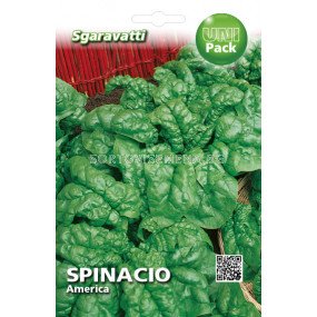 Семена Спанак America`SG