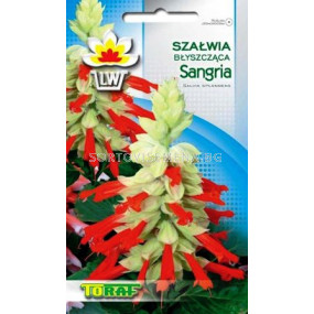 Семена Салвия - Sangria
