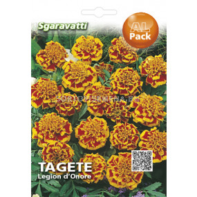 Семена Тагетес (Tagetes) Nana Legion D'onore`SG