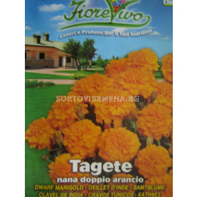 Семена Тагетес (нисък оранжев 25см)