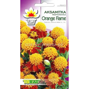 Тагетес Orang Flame -1 г