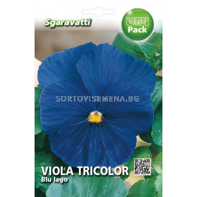 Семена Теменуга синя`SG - Violet blue`SG 