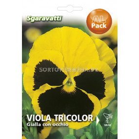 Семена Теменуга Жълта с черен център`SG - Viollet Yellow with black`SG