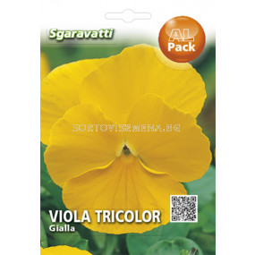 Семена Теменуга жълта`SG - Violet yellow`SG